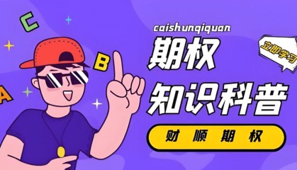 股票指数期权是什么意思?