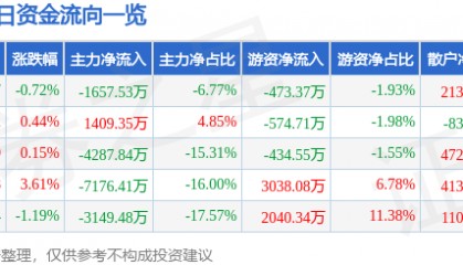 股票行情快报:深圳能源(000027)10月14日主力资金净卖出1657.53万元