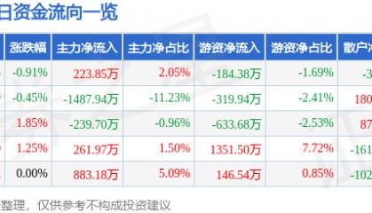 股票行情快报：深圳能源（000027）9月10日主力资金净买入223.85万元