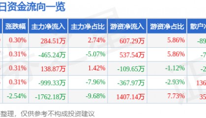 股票行情快报:深圳能源(000027)8月6日主力资金净买入284.51万元