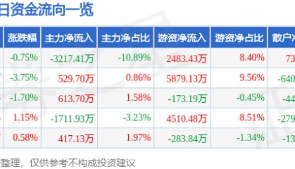 股票行情快报:深圳能源(000027)8月29日主力资金净卖出3217.41万元
