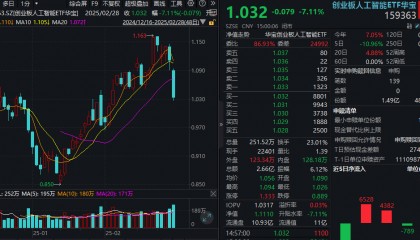ETF盘后资讯|应声跳水!铜牛信息等6股重挫超10%,创业板人工智能ETF华宝(159363)溢价杀跌,资金低位抢筹?