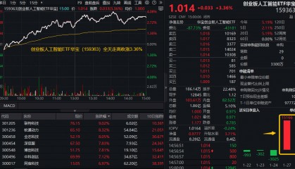 ETF盘后资讯|DeepSeek概念持续狂欢!创业板人工智能ETF华宝(159363)放量大涨3.36%,资金两日买入1.7亿元