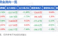 股票行情快报：科大智能（300222）2月13日主力资金净卖出2217.01万元