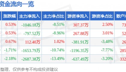 股票行情快报:新北洋(002376)8月5日主力资金净卖出1046.18万元