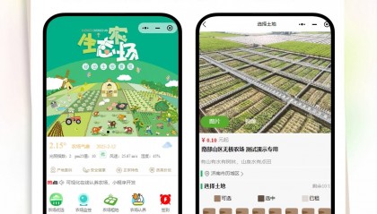 重庆铭捷信息技术资讯年轻人躺平计划:认养系统赚钱,躺着等分红