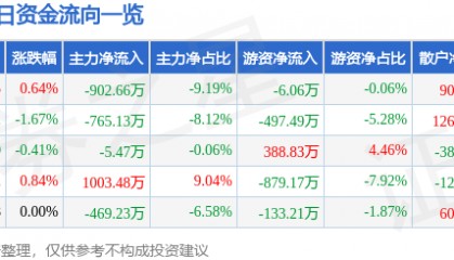 股票行情快报:南网能源(003035)8月28日主力资金净卖出902.66万元