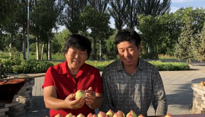 资讯有故事︱“你太好了,我们要去帮你” 这些外国友人为何纷纷到内蒙古种树?