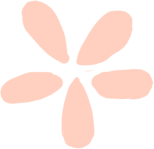 “定心丸”怎么写