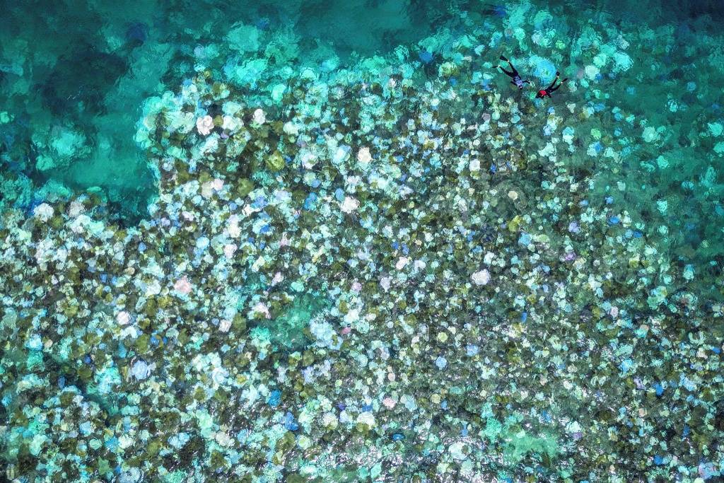 气候资讯｜4月全球前沿气候科学研究&amp;极端天气气候事件