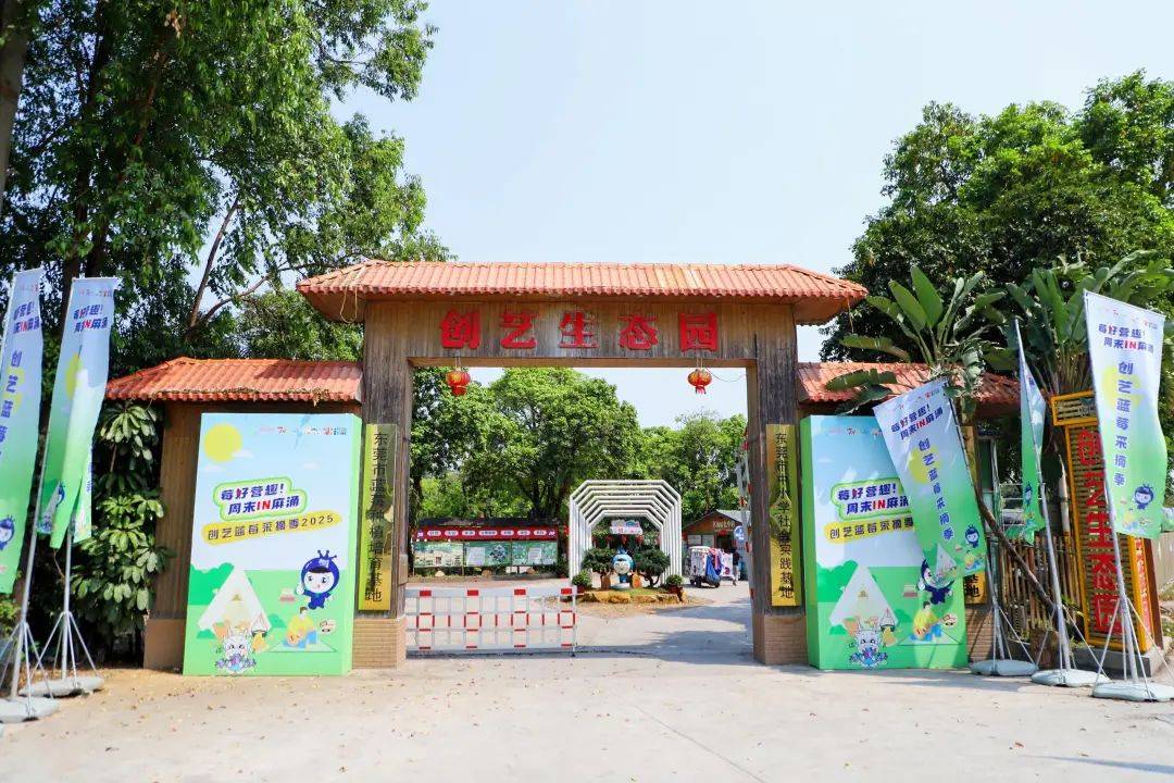 【资讯】麻涌免费旅游巴士线路有新调整！
