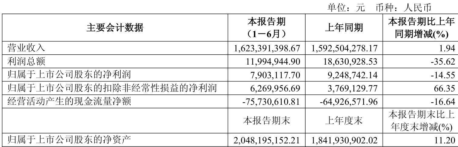乐山电力:2025年上半年净利润790.31万元