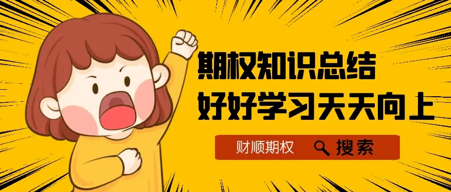 股票指数期权是什么意思?